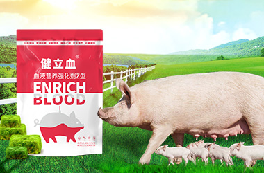 fun88������ҳ�������ӹ�����