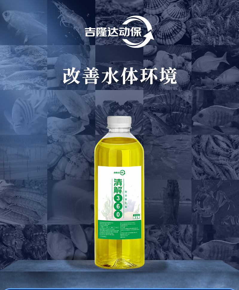 ���360����_01