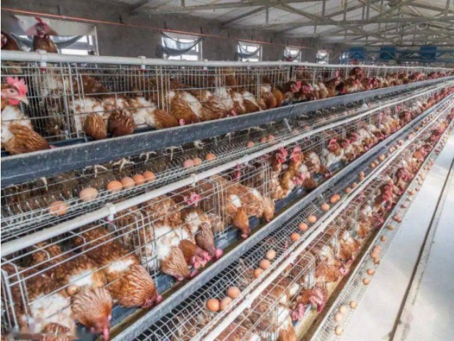 ������Ӧ��Ԥ����ʩ